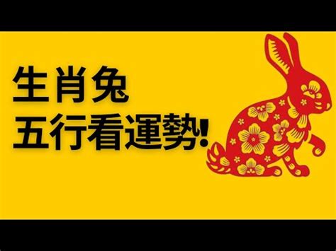 屬兔屬性|生肖兔: 性格，愛情，2024運勢，生肖1987，1999，2011